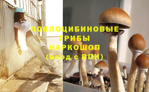 прущие грибы Алексин