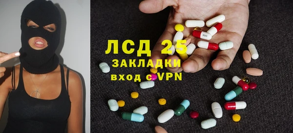 прущие грибы Алексин