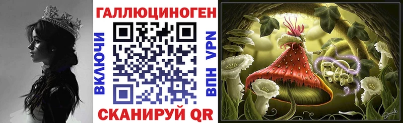 Галлюциногенные грибы Psilocybine cubensis Челябинск